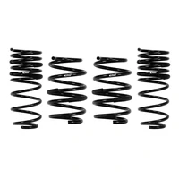 Pro-Kit for 13-14 Honda Accord 3.5L 6cyl Street Performance Springs
