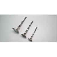 Chevrolet LT1 Gen 5 1.6in 0.313in 5.2in 24 Deg S-Flo Rad Grv Super Alloy Exh Valve - Set of 8