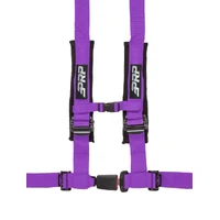4.2 Harness Purple